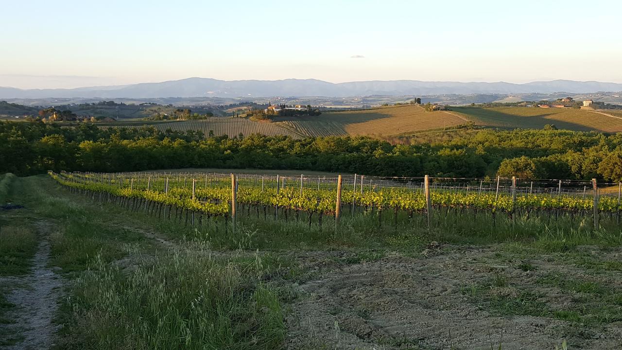 Agriturismo Podere Casa Al Vento Montepulciano Exterior photo